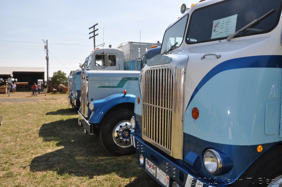 Front view of two blue and white trucks parked side-by-side