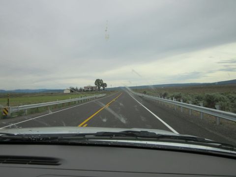 1991 Ford LTD Crown Victoria - Driving down a long, straight highway through a rural landscape under an overcast sky.