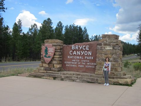 1991 Ford LTD Crown Victoria - Bryce Canyon