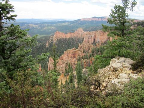 1991 Ford LTD Crown Victoria - View of hoodoos and pine trees in Bryce Canyon National Park.