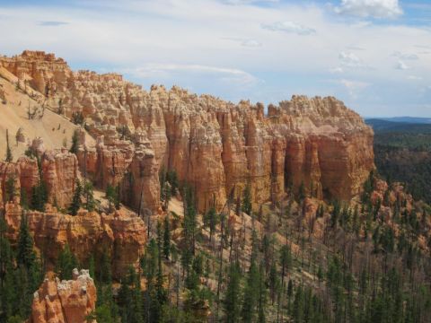 1991 Ford LTD Crown Victoria - A scenic view of Bryce Canyon National Park with its distinctive rock formations and scattered pine trees.