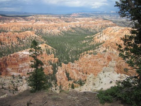 1991 Ford LTD Crown Victoria - A scenic view of Bryce Canyon National Park, its unique hoodoo rock formations and dense pine forests under a cloudy sky.
