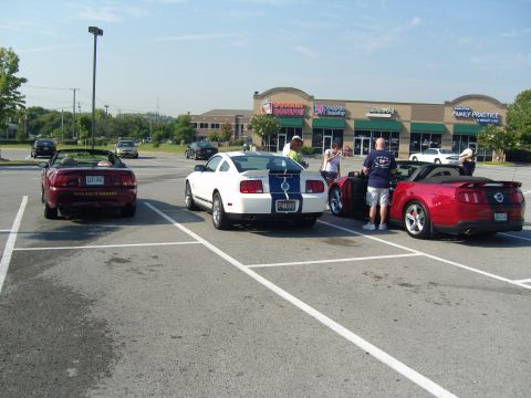 2007 Ford Mustang - Several Ford Mustangs are gathered in a parking lot outside of businesses on a sunny day.