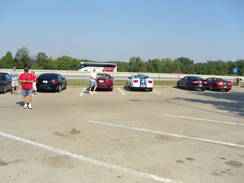 2007 Ford Mustang - A white 2007 Ford Mustang with blue racing stripes is parked in a lot alongside other vehicles.