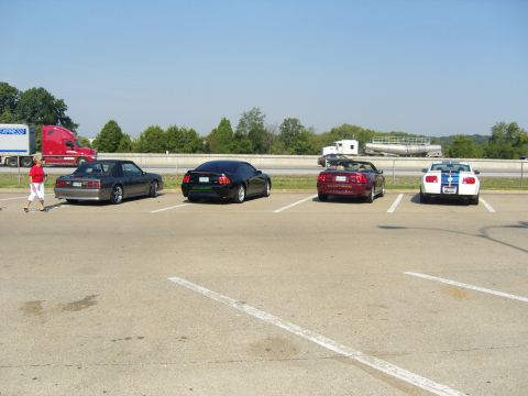 2007 Ford Mustang - Four Ford Mustangs are parked in a lot on a sunny day.