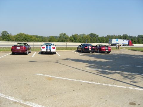 2007 Ford Mustang - Several Ford Mustangs are parked in a lot on a sunny day, with a semi-truck visible on the highway.
