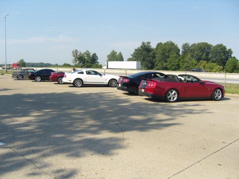 2007 Ford Mustang - Several Ford Mustangs are parked in a lot on a sunny day.