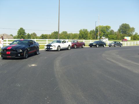 2007 Ford Mustang - A black 2007 Ford Mustang with red racing stripes is parked in a line with other Mustangs at a car show.