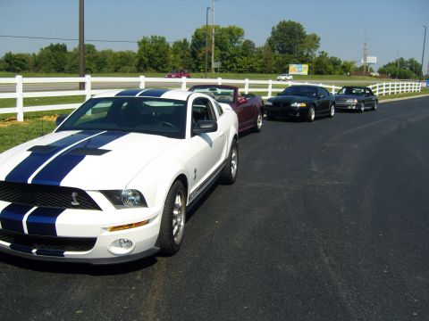2007 Ford Mustang - Multiple Ford Mustangs lined up on asphalt, with a white fence and trees in the background.