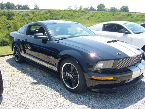 2007 Ford Mustang - A black 2007 Ford Mustang Shelby GT parked at a car show, with another Mustang visible behind it.