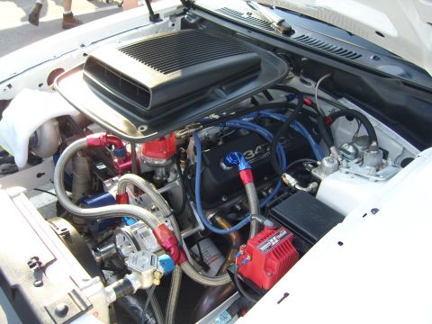 2007 Ford Mustang - Customized engine bay a scoop on the air cleaner and a prominent 347 engine block.