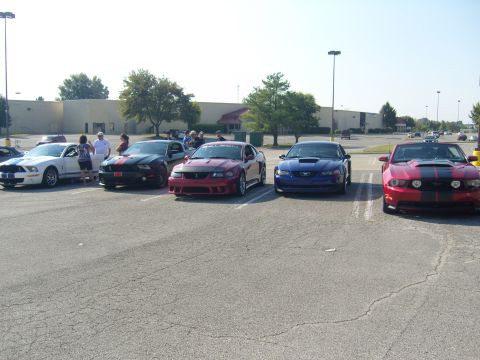2007 Ford Mustang - A collection of Ford Mustangs, including a white Shelby GT500, are gathered in a parking lot during an event.