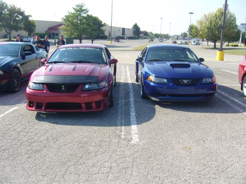 2007 Ford Mustang - Two Ford Mustangs, one red Saleen and one blue, are parked in a lot.