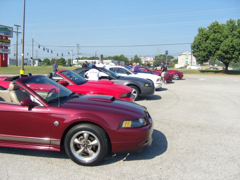 2007 Ford Mustang - Several Ford Mustangs are lined up in a parking lot on a sunny day.