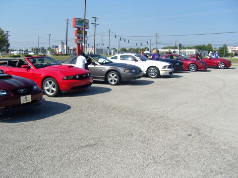 2007 Ford Mustang - A line of Ford Mustangs are parked in a lot on a sunny day, with a Sonic restaurant sign in the background.