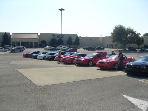 2007 Ford Mustang - Several Ford Mustangs are parked in a lot outside a shopping center on a sunny day.
