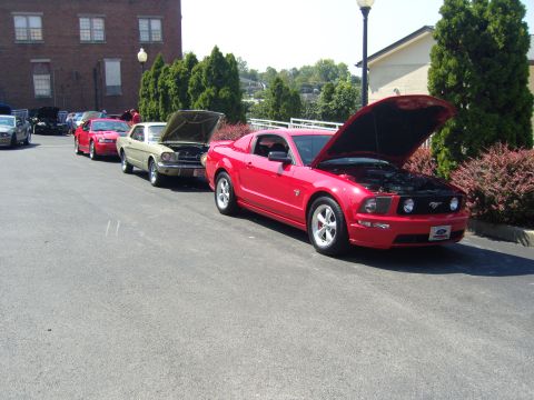 2007 Ford Mustang - Several Ford Mustangs are lined up with their hoods open, displaying their engines at an outdoor car show.