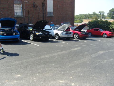 2007 Ford Mustang - A collection of Ford Mustangs are displayed with their hoods open at an outdoor event.