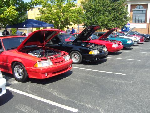 2007 Ford Mustang - Multiple Ford Mustangs are lined up with their hoods open at an outdoor car show.