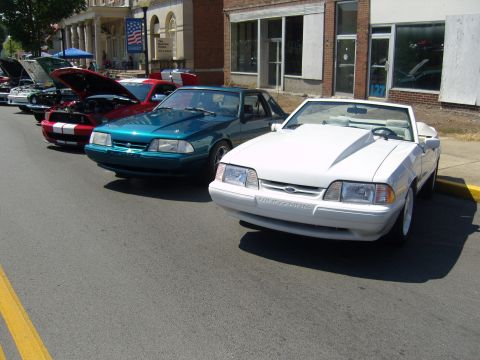 2007 Ford Mustang - Several Ford Mustangs are lined up on a street, with one white convertible in the foreground.