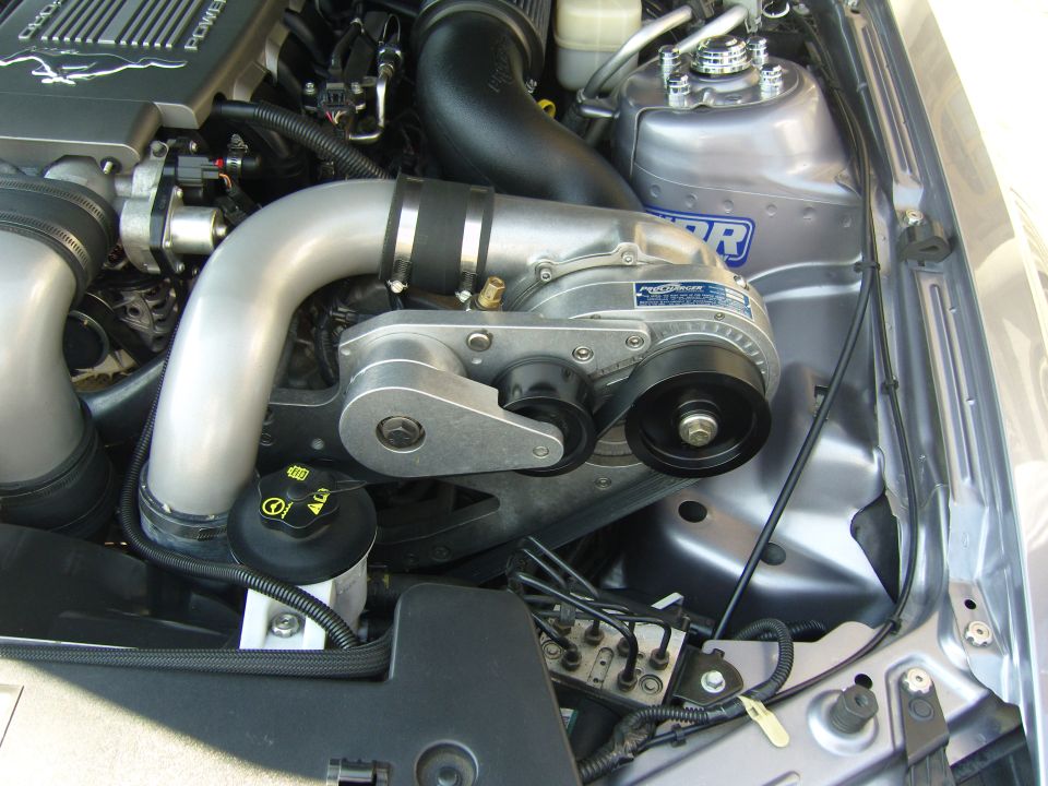 Engine bay with polished supercharger and intake piping