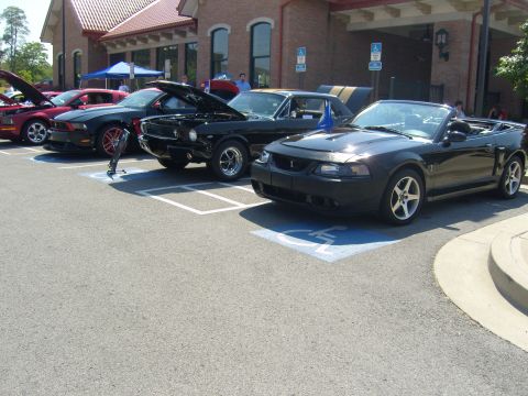 2007 Ford Mustang - Several Ford Mustangs are parked in a lot outside a building.