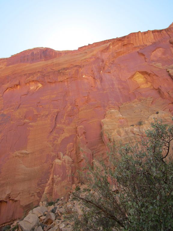 Red rock cliffs with sparse green bushes in the foreground under a clear blue sky