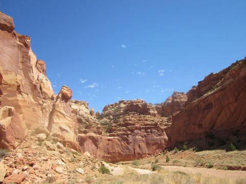 1991 Ford LTD Crown Victoria - A vast desert landscape unfolds with towering red rock cliffs and a winding dirt path.