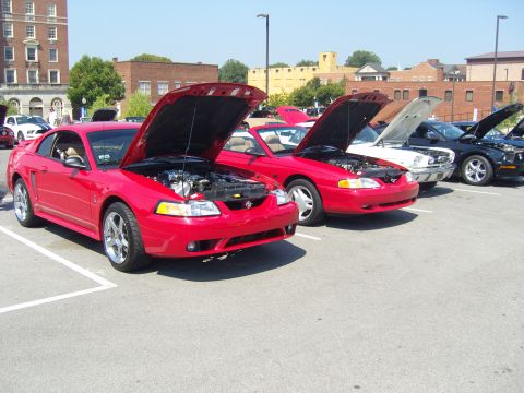 2007 Ford Mustang - A line of Mustangs, including a red 2007 model, are displayed with their hoods open at a car show.