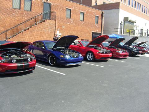 2007 Ford Mustang - A row of Ford Mustangs, including a blue one and several red ones, are parked with their hoods open at an outdoor event.