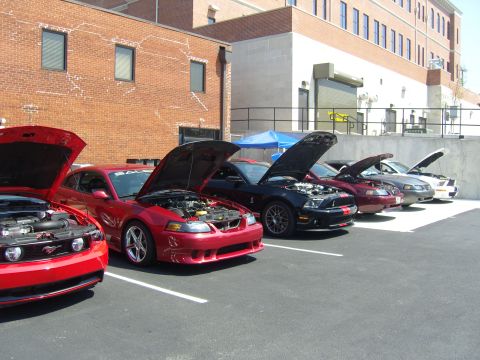 2007 Ford Mustang - A line of Ford Mustangs are parked with their hoods open, displaying their engines in a parking lot.