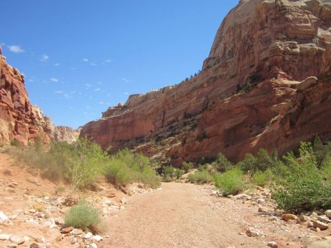 1991 Ford LTD Crown Victoria - A scenic view of a desert canyon with a dirt road winding through it, bordered by red rock cliffs and sparse vegetation.