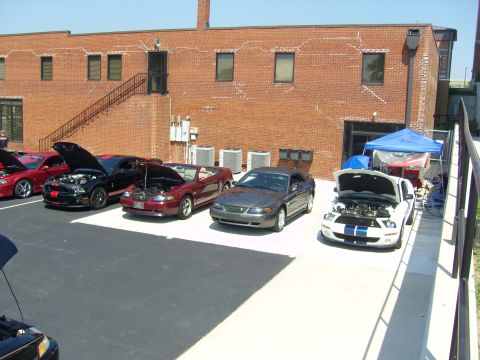 2007 Ford Mustang - A gathering of Ford Mustangs, some displaying their engines, at an outdoor event.