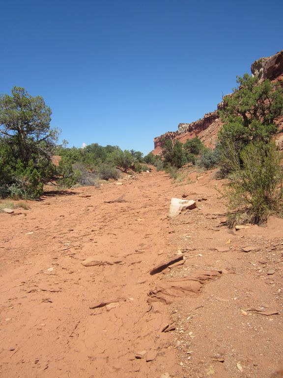 Desert road with red dirt, rocks, sparse vegetation, and red rock cliffs under a clear blue sky