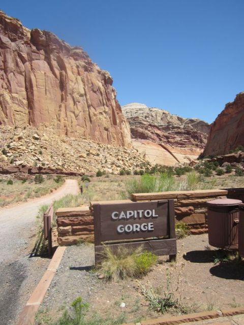1991 Ford LTD Crown Victoria - Sign for Capitol Gorge in a canyon landscape with rocky cliffs and a clear blue sky.