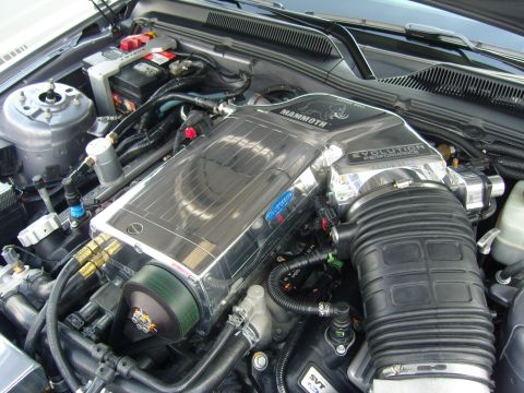 2007 Ford Mustang - Close-up of a highly polished supercharger assembly, labeled 'Mammoth' and 'Evolution Performance', within a vehicle's engine bay.