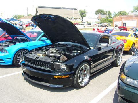 2007 Ford Mustang - Several Mustangs are gathered at an outdoor car show, with one black model prominently displayed with its hood up.