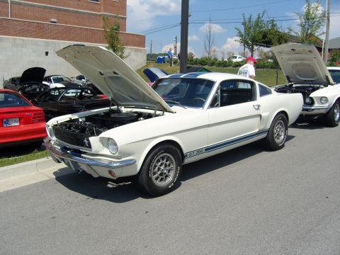 2007 Ford Mustang - White 1965 Ford Mustang GT350 with hood open, parked next to another Mustang.