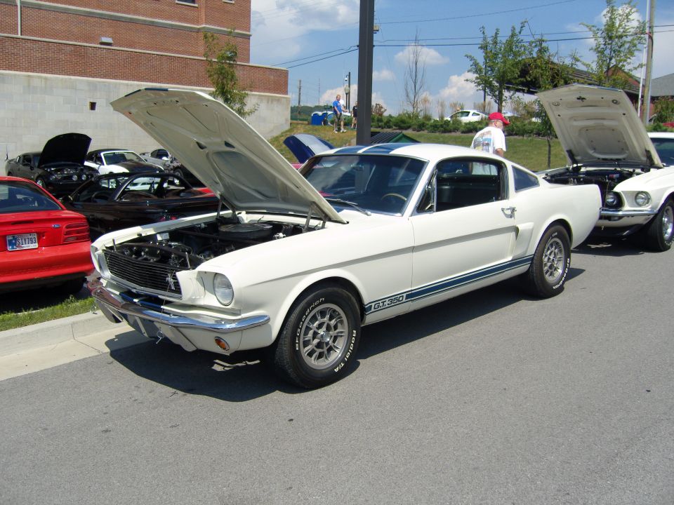 White 1965 Ford Mustang GT350 with blue stripes, hood open. Another white Mustang is parked behind it