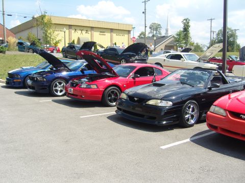 2007 Ford Mustang - A line of Ford Mustangs, including a black convertible from the mid-1990s, are parked with their hoods open at an outdoor event.