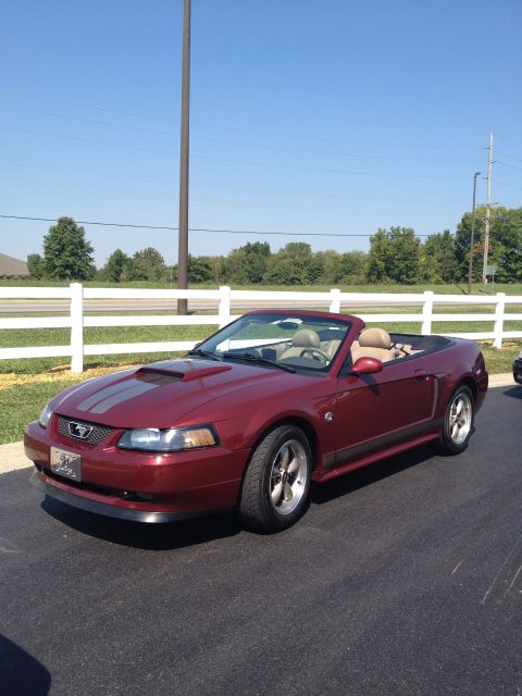2007 Ford Mustang - This red convertible Mustang features grey racing stripes on the hood and a tan interior.