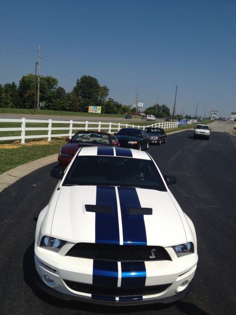 2007 Ford Mustang - A white 2007 Ford Mustang with bold blue racing stripes is parked in a line with other vehicles.