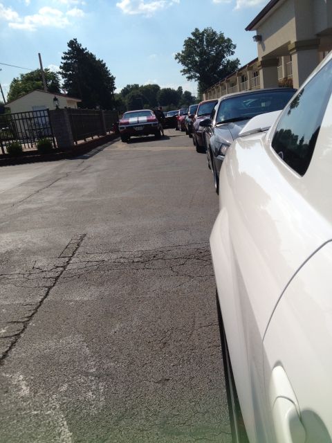 2007 Ford Mustang - Several Ford Mustangs are parked in a line on a sunny day.