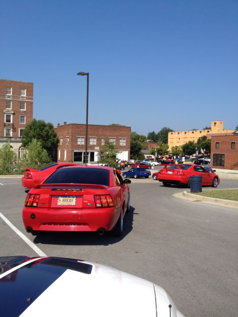 2007 Ford Mustang - Several red Mustangs are gathered in a parking lot on a sunny day.