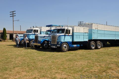 1959 Kenworth W900A “CC925”