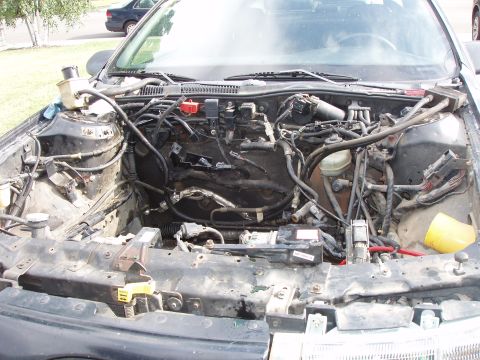 1992 Ford Taurus - The engine bay of a car is shown with the engine removed, revealing wiring and various components.