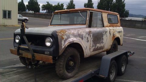 International Scout