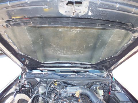 2003 Ford Crown Victoria - Underside of the raised hood, scuffed insulation pad above the engine compartment below.