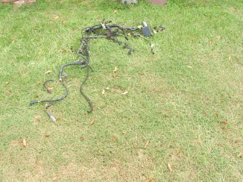 1966 Ford Ranchero - A complex automotive wiring harness is spread out on a grassy surface.
