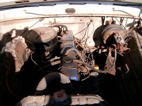 1967 Ford F-250 - The engine bay of a 1967 Ford F-250 reveals its mechanical components under a white exterior.